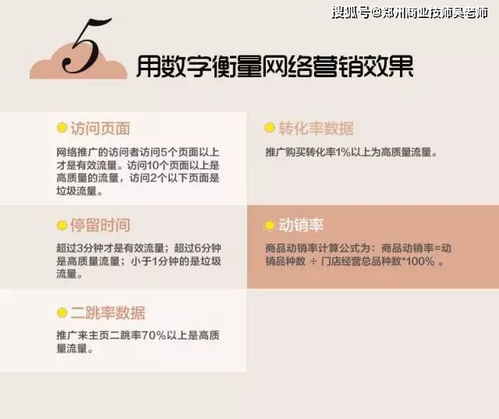 专业知识电子商务是什么