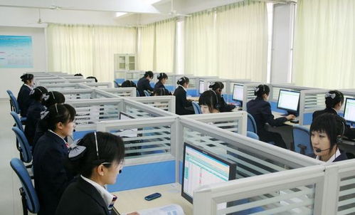 电子商务专业大一学生
