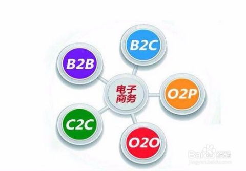 专业性电子商务是指