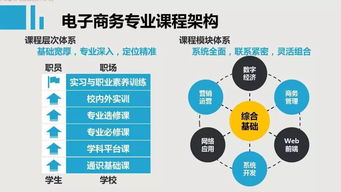 电子商务专业大学的课程