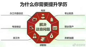 东营市电子商务专业招聘