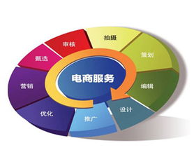 电子商务专业会学会计嘛